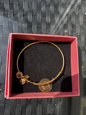 Alex and Ani AOII bracelet